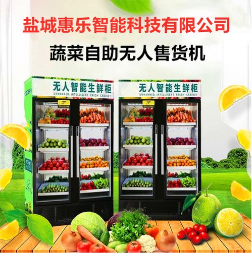 惠樂(lè)鮮智能柜 鹽城惠樂(lè)智能科技，開(kāi)啟日用百貨銷售新篇章
